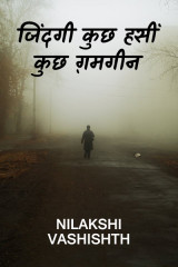 जिंदगी कुछ हसीं कुछ ग़मगीन by Nilakshi Vashishth in Hindi