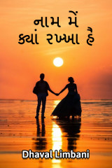 નામ મેં ક્યાં રખ્ખા હૈ by Dhaval Limbani in Gujarati