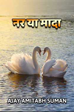Ajay Amitabh Suman द्वारा लिखित  NAR YA MADA बुक Hindi में प्रकाशित