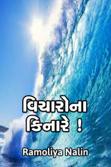 વિચારો ના કિનારે !! દ્વારા Ramoliya Nalin in Gujarati