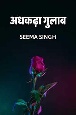 Seema Singh द्वारा लिखित  Adhkadha Gulaab बुक Hindi में प्रकाशित