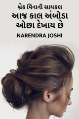 Narendra Joshi profile