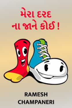 MERA DARAD NA JANE KOI by Ramesh Champaneri in Gujarati