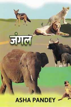 Jungle by Asha Pandey Author in Hindi