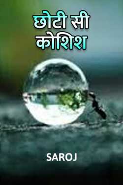 Saroj Prajapati द्वारा लिखित  Chhoti si koshish बुक Hindi में प्रकाशित