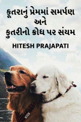 Hitesh Prajapati profile