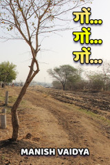Manish Vaidya profile