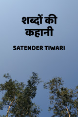 Satender_tiwari_brokenwordS profile