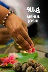 Mehul Joshi profile