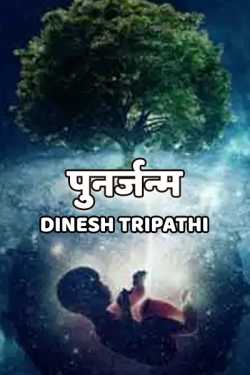 Punarjanm by Dinesh Tripathi in Hindi