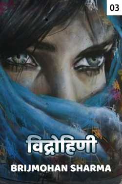 Brijmohan sharma द्वारा लिखित  Vidrohini - 3 बुक Hindi में प्रकाशित