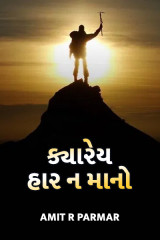 ક્યારેય હાર ન માનો દ્વારા Amit R Parmar in Gujarati