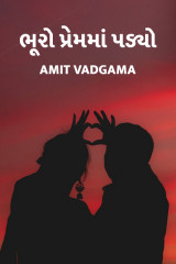 Amit vadgama profile