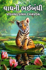 vishnusinh chavda profile