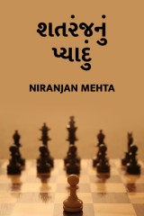 Niranjan Mehta profile