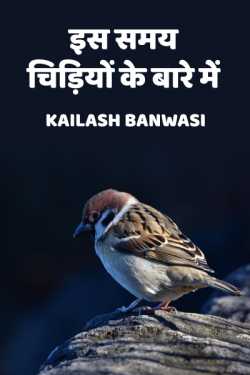 Is samay chodiyo ke bare me by Kailash Banwasi in Hindi