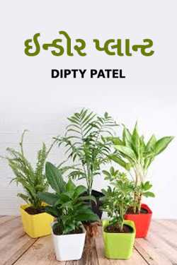 Indoor plant by Dipty Patel in Gujarati
