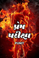 PUNIT profile