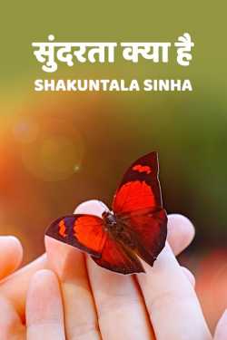 Sudarta Kya Hai by S Sinha in Hindi