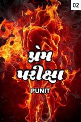 PUNIT profile