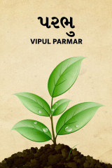 vipul parmar profile