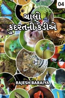Chalo kudartni kediye - 4 by rajesh baraiya in Gujarati