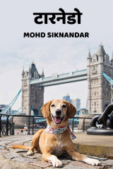 Mohd Siknandar profile