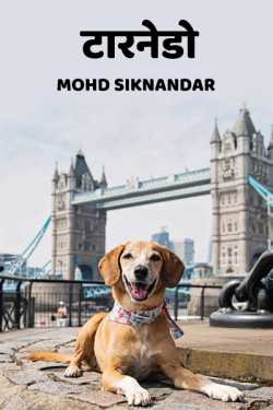 Mohd Siknandar द्वारा लिखित  The journey from a modest dog to a superhero बुक Hindi में प्रकाशित