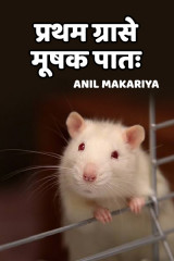 प्रथम ग्रासे मूषक पातः by Anil Makariya in Hindi