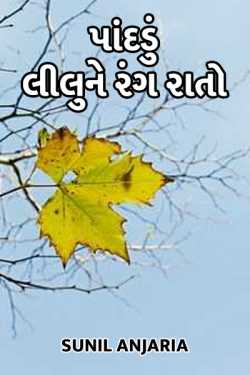 panndu lilu ne rang raato by SUNIL ANJARIA in Gujarati