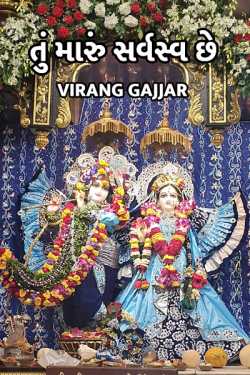 તું મારું સર્વસ્વ છે.... by Virang Gajjar in Gujarati