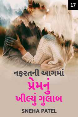 Nafratni aag ma prem nu khilyu gulaab - 17 by Sujal B. Patel in Gujarati