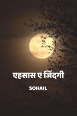 एहसास_ए_जिंदगी by Sohail in Hindi