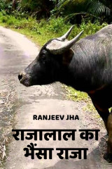 Ranjeev Kumar Jha profile