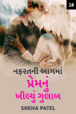 Nafratni aag ma prem nu khilyu gulaab - 18 by Sujal B. Patel in Gujarati