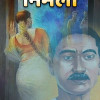 Nirmala By Munshi Premchand | Read Hindi Best Novels And Download PDF ...