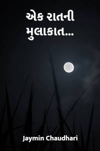 એક રાતની મુલાકાત...