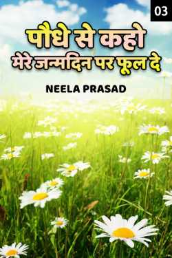 पौधे से कहो, मेरे जन्मदिन पर फूल दे - 3 - अंतिम भाग by Neela Prasad in Hindi