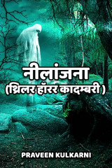 नीलांजना... ? द्वारा  Praveen Kulkarni in Hindi