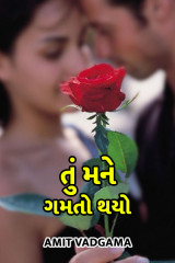 તું મને ગમતો થયો by Amit vadgama in Gujarati