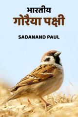 Sadanand Paul profile