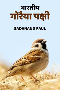 Indian Sparrow Birds by Sadanand Paul in Hindi