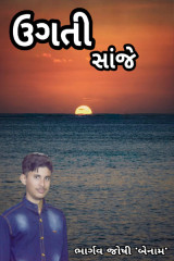 ઉગતી સાંજે દ્વારા Er.Bhargav Joshi અડિયલ in Gujarati