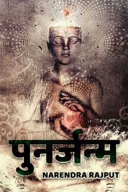 Narendra Rajput द्वारा लिखित  Punarjanma बुक Hindi में प्रकाशित