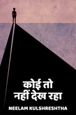 कोई तो नहीं देख रहा by Neelam Kulshreshtha in Hindi