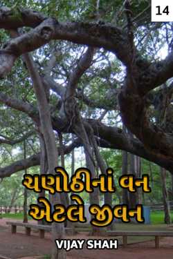Chanothina Van aetle Jivan - 14 by Vijay Shah in Gujarati