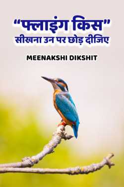 Meenakshi Dikshit द्वारा लिखित  Let them decide learning Flying Kiss बुक Hindi में प्रकाशित