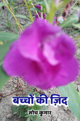 सोच कुमार profile