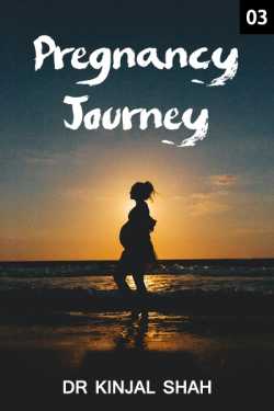 Pregnancy Journey - Week 3