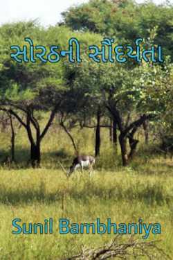 sorathni sundarta by Green Man in Gujarati